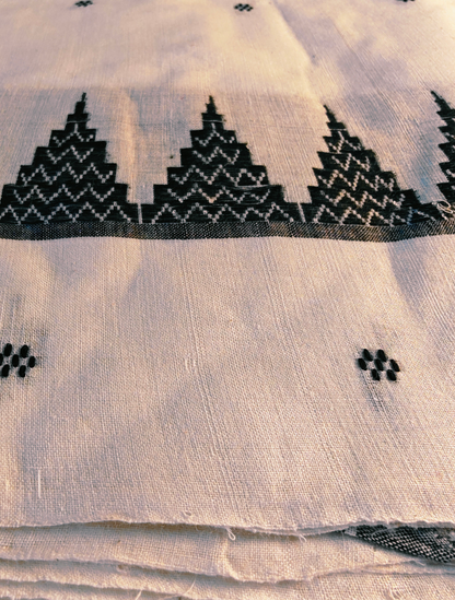 Bhavaneshwari Handloom Saree Aadya's Fashion Blings