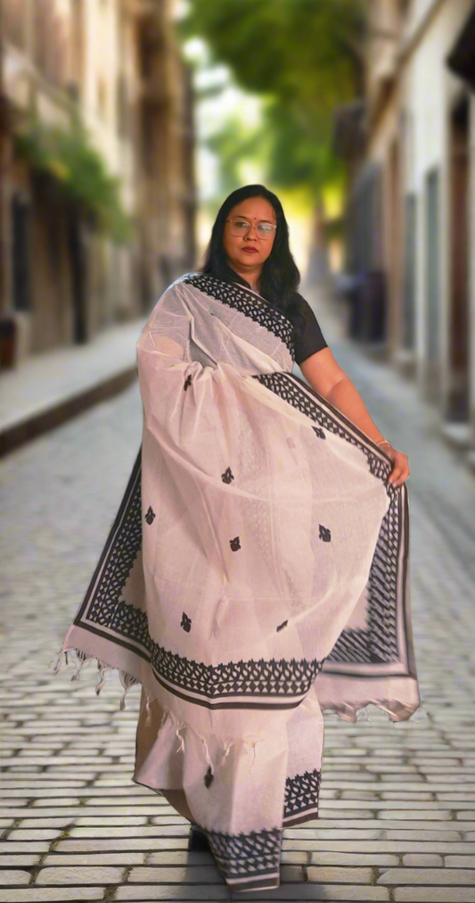 Noor-e-Kala Handloom Saree